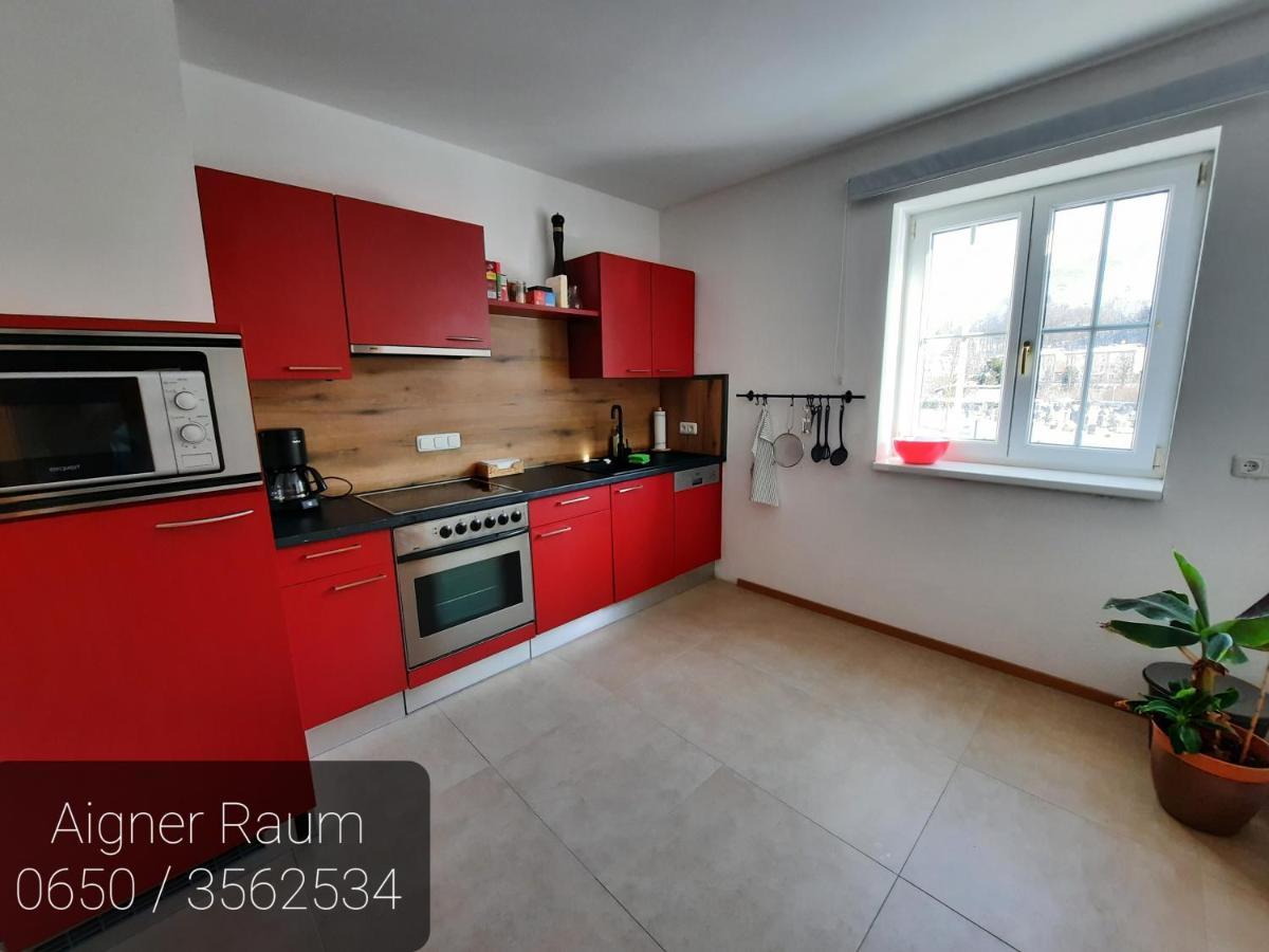 Apartment Aigner Bad Goisern Esterno foto